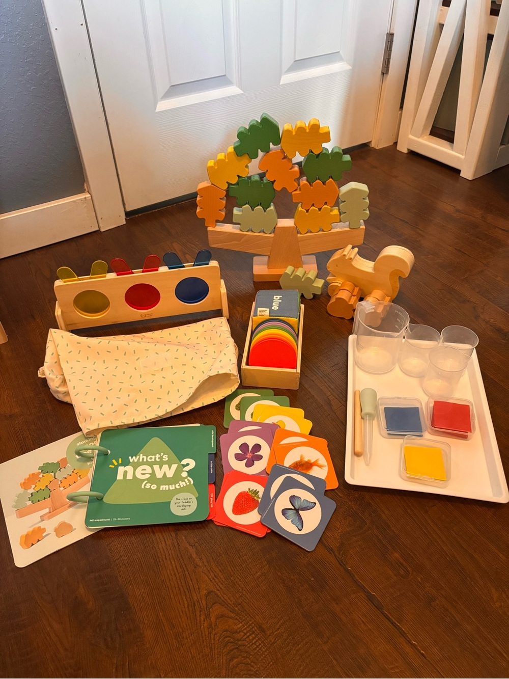 Kiwico Lets Experiment upgraded playkit 25-30 months